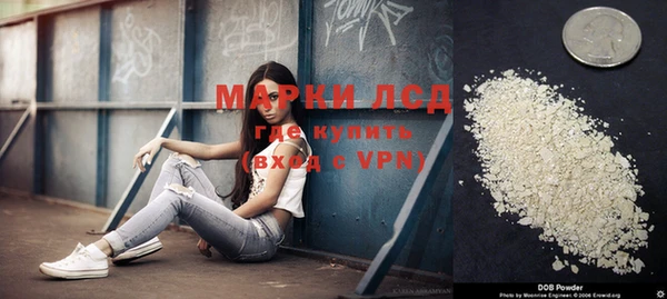 крисы Богданович