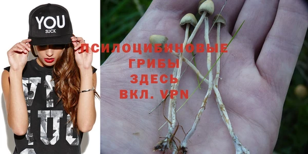 героин Богородицк
